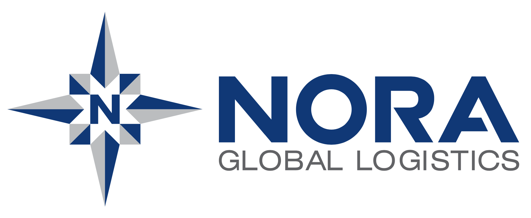 Nora Global logo