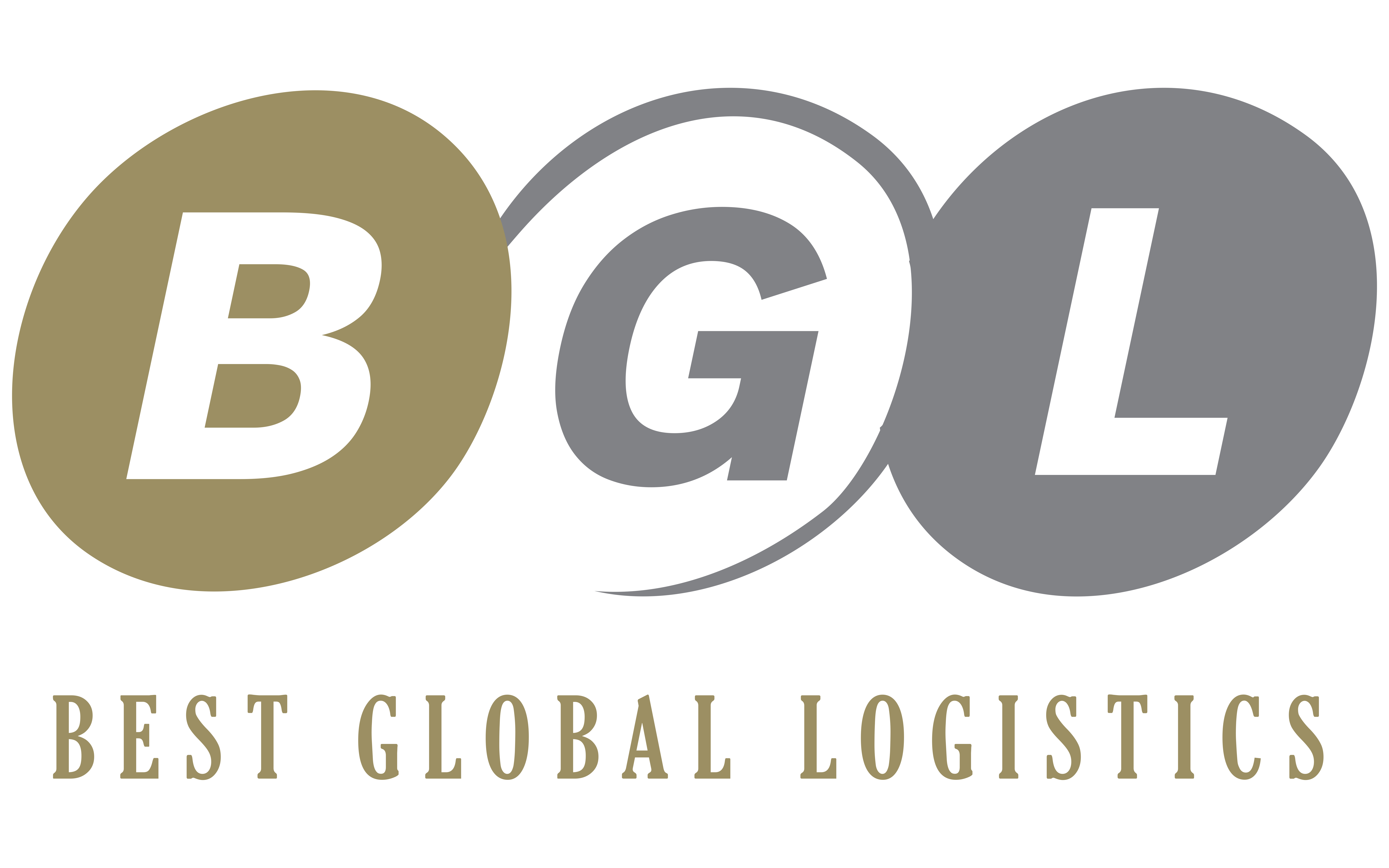 Best Global Logistics logo
